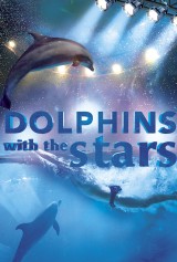 Dolphins with the stars
